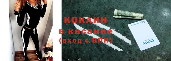 крисы Дмитриев