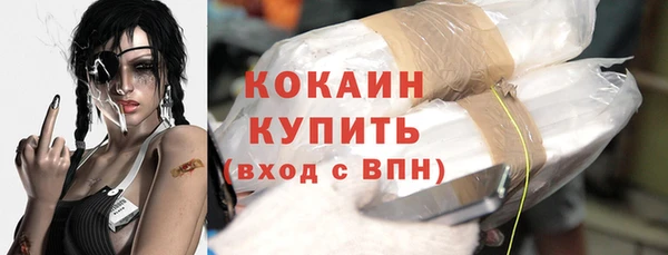 крисы Дмитриев