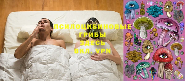 крисы Дмитриев